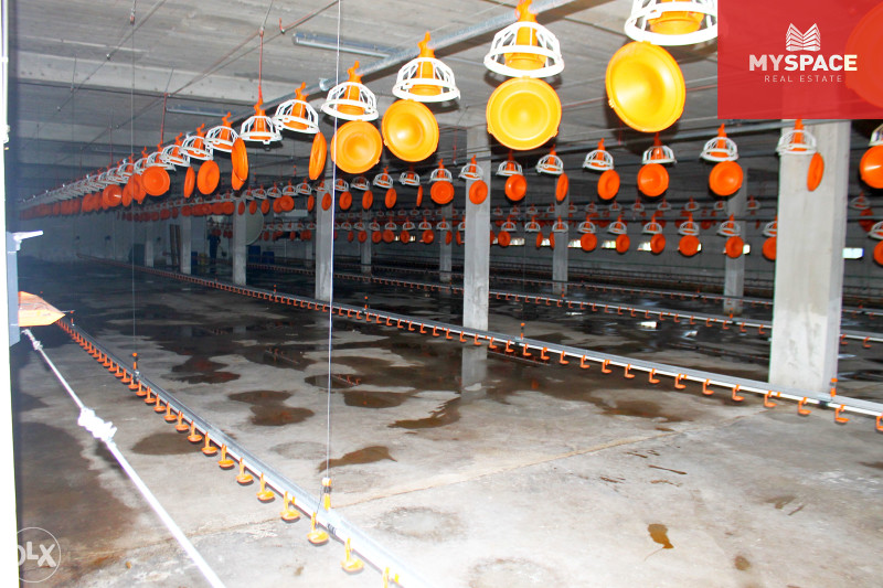MY SPACE/ Zemljiste i farma/ Visoko/ 5100 m2 8