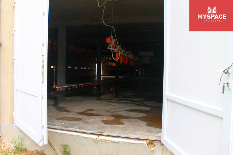 MY SPACE/ Zemljiste i farma/ Visoko/ 5100 m2 6