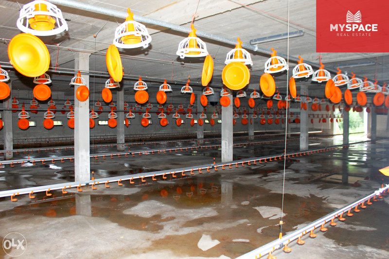 MY SPACE/ Zemljiste i farma/ Visoko/ 5100 m2 7