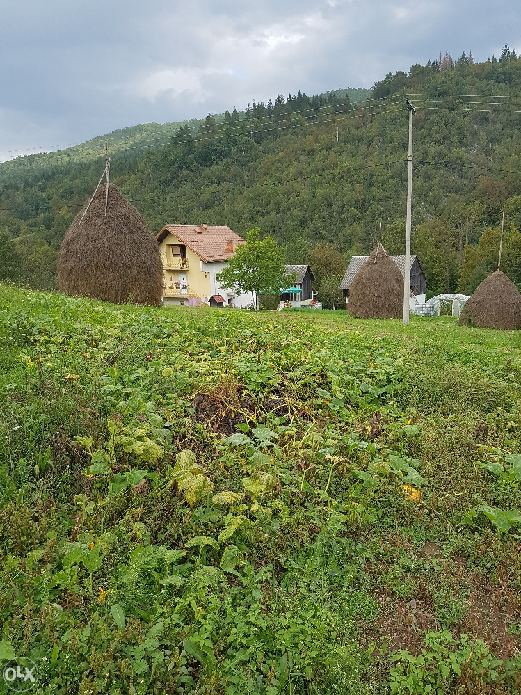 Kuća Zemljiste Olovo Krivaja 3