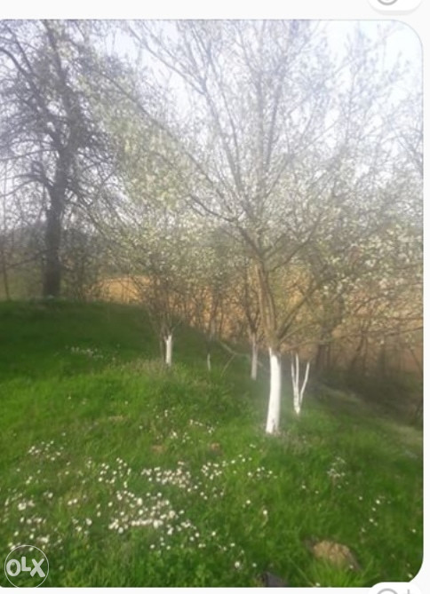 Kuca na prodaju BRATUNAC 2