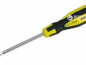 ZR10193 PROLINE TORX T25 100mm