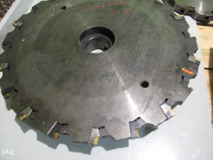 GLODACKA  KRUNA  SA  PLOCICAMA