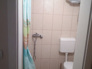 INVESTICIONA NEKRETNINA Kuća Bijeljina photo 4