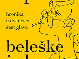 Beleške jedne Ane - Momo Kapor