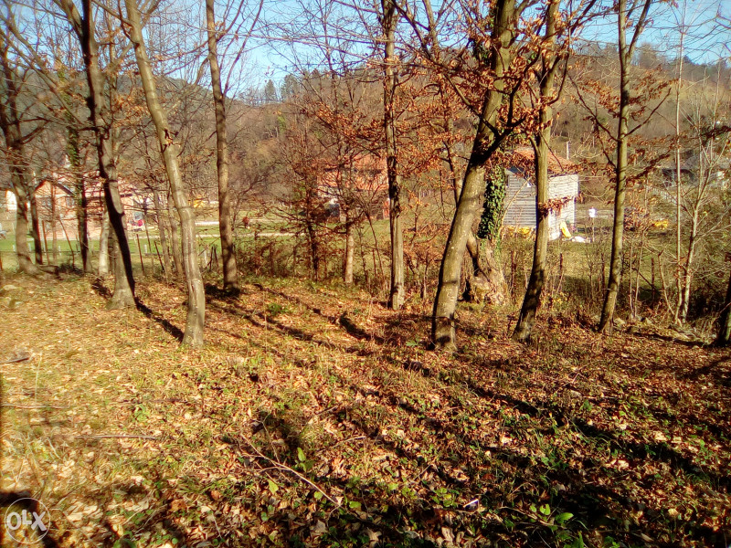 Plac na Krivaji 5