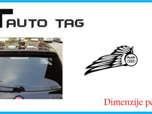 Stikeri i auto naljepnice/naljepnica za staklo AUDI !