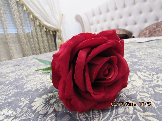 Apartman Tea 2 stan na dan Banja Luka 063020651 19