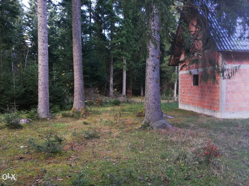 Vikendica Vlašič gostilj 9