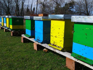 LAK NA VODENOJ BAZI - ECO