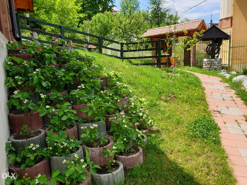 Apartman Na DAN 160m2 SA BAZENOM Ilidža. 13