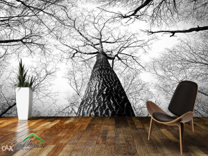 TAPETE 3D,FOTO TAPETA FOTO TAPETE ZIDNE DEKORACIJE