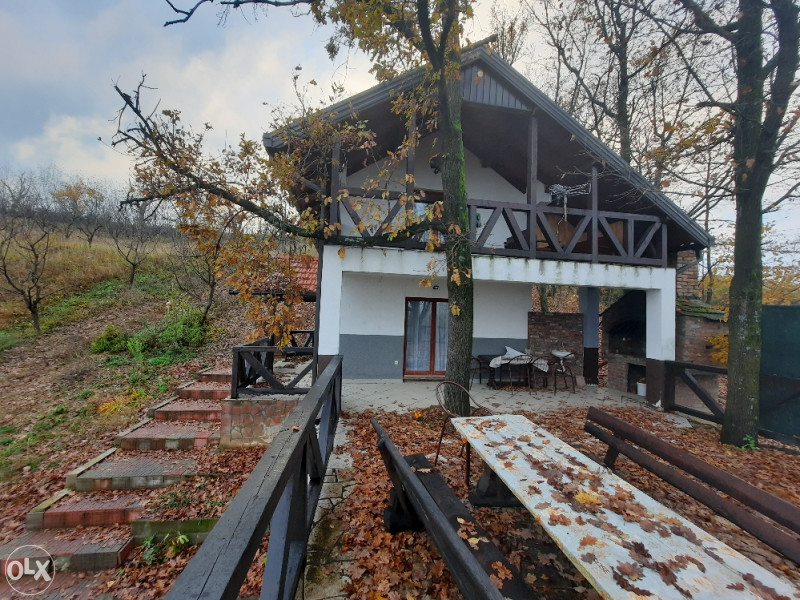 POVOLJNO Vikendica sa 30.000m2 vićnjaka na prelijepoj lokaciji 20