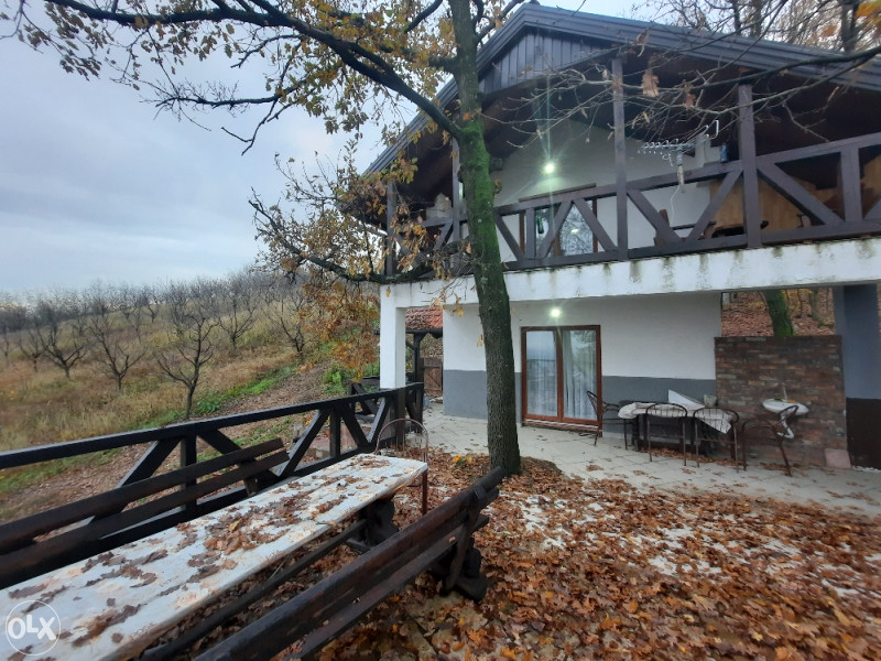 POVOLJNO Vikendica sa 30.000m2 vićnjaka na prelijepoj lokaciji