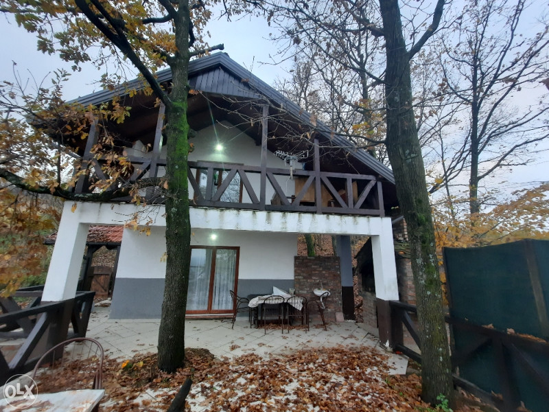 POVOLJNO Vikendica sa 30.000m2 vićnjaka na prelijepoj lokaciji 14
