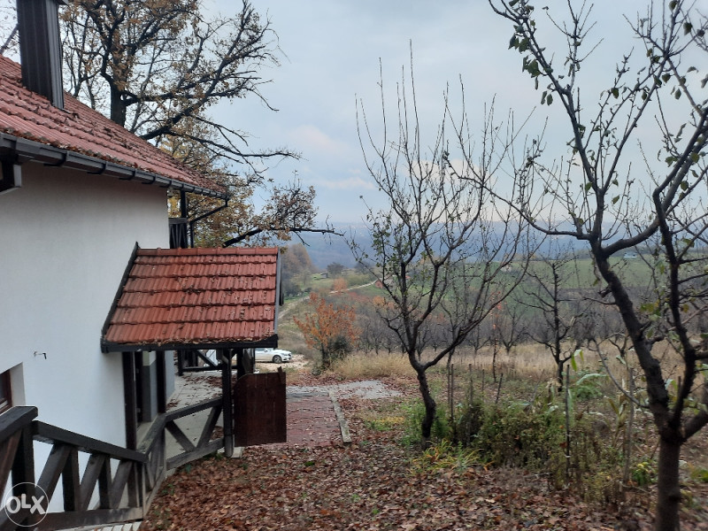 POVOLJNO Vikendica sa 30.000m2 vićnjaka na prelijepoj lokaciji 19