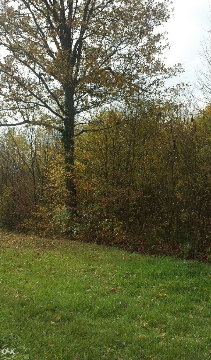 Zemljište Živinice (Gradska zona II) 5