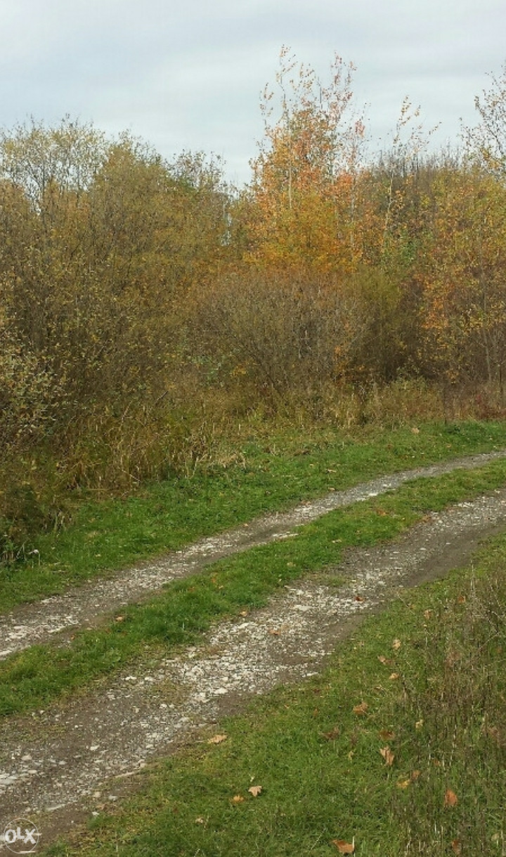 Zemljište Živinice (Gradska zona II) 6