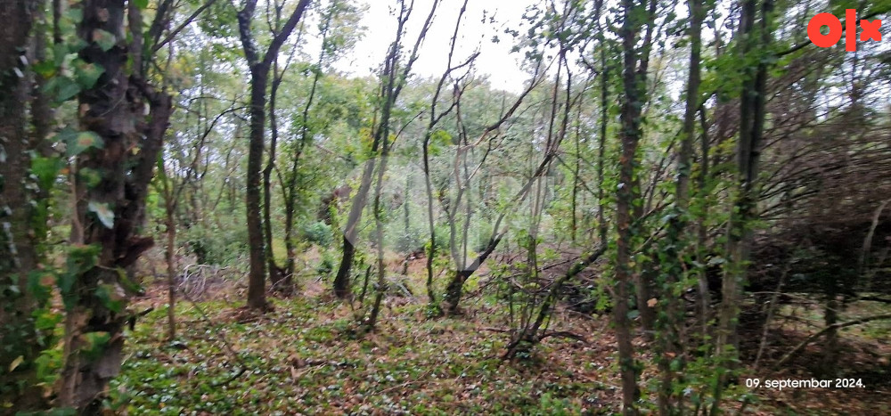 Zemljište Živinice (Gradska zona II) 2
