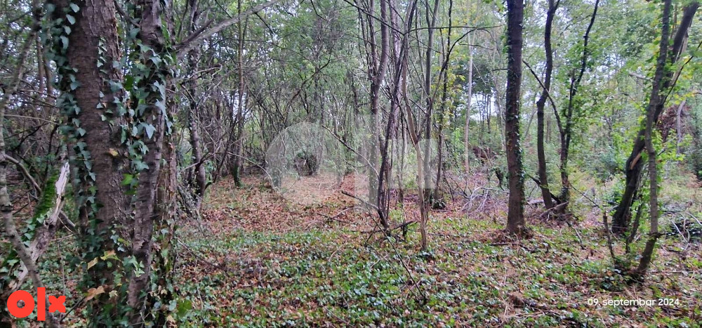 Zemljište Živinice (Gradska zona II) 4