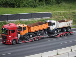 Usluge prevoza  labudicom u zemlji i inostranstvu
