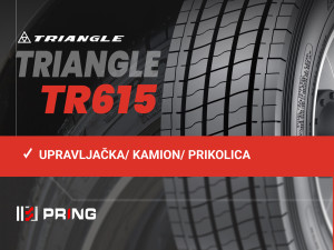 11.00R22.5 16PR TRIANGLE TR615 11.00 R22.5 (11.00 22.5)