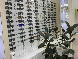 Suncane Naocare Ozzie,Sover,AvanglionJust Cavali....