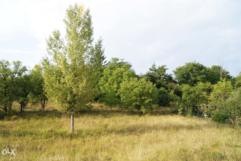 Zemljište - Vogošća - Blagovac - 10 887 m2 4
