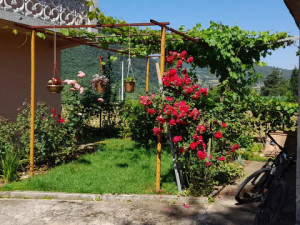 GOLDEN HOME PRODAJE KUĆU U STAROJ BILI photo 4