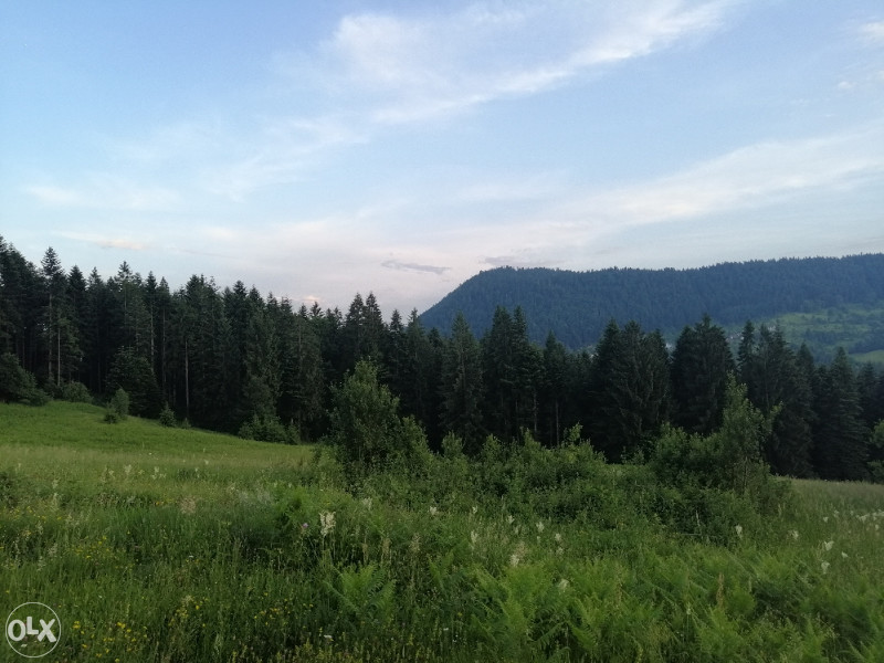 Planinska kuća i zemljiste 19