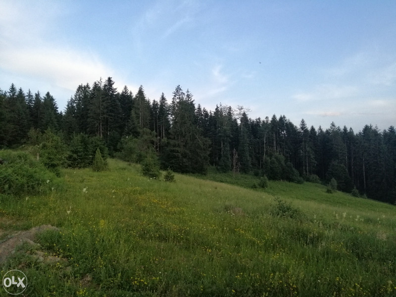 Planinska kuća i zemljiste 18