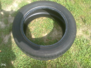 GUMA-16...LJETNE-ZADNJA RIJEC-UVOZ.