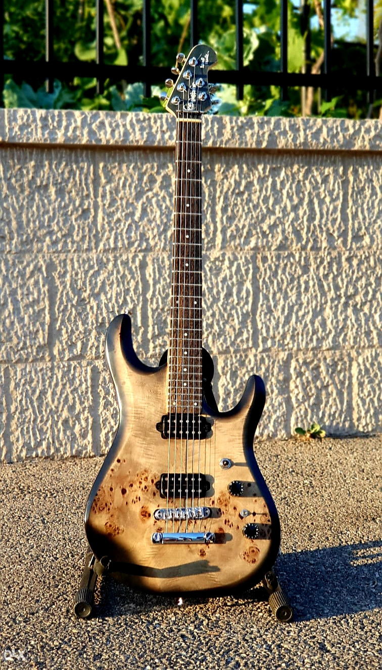 Zoran Simic ZS Custom Handmade Gitara