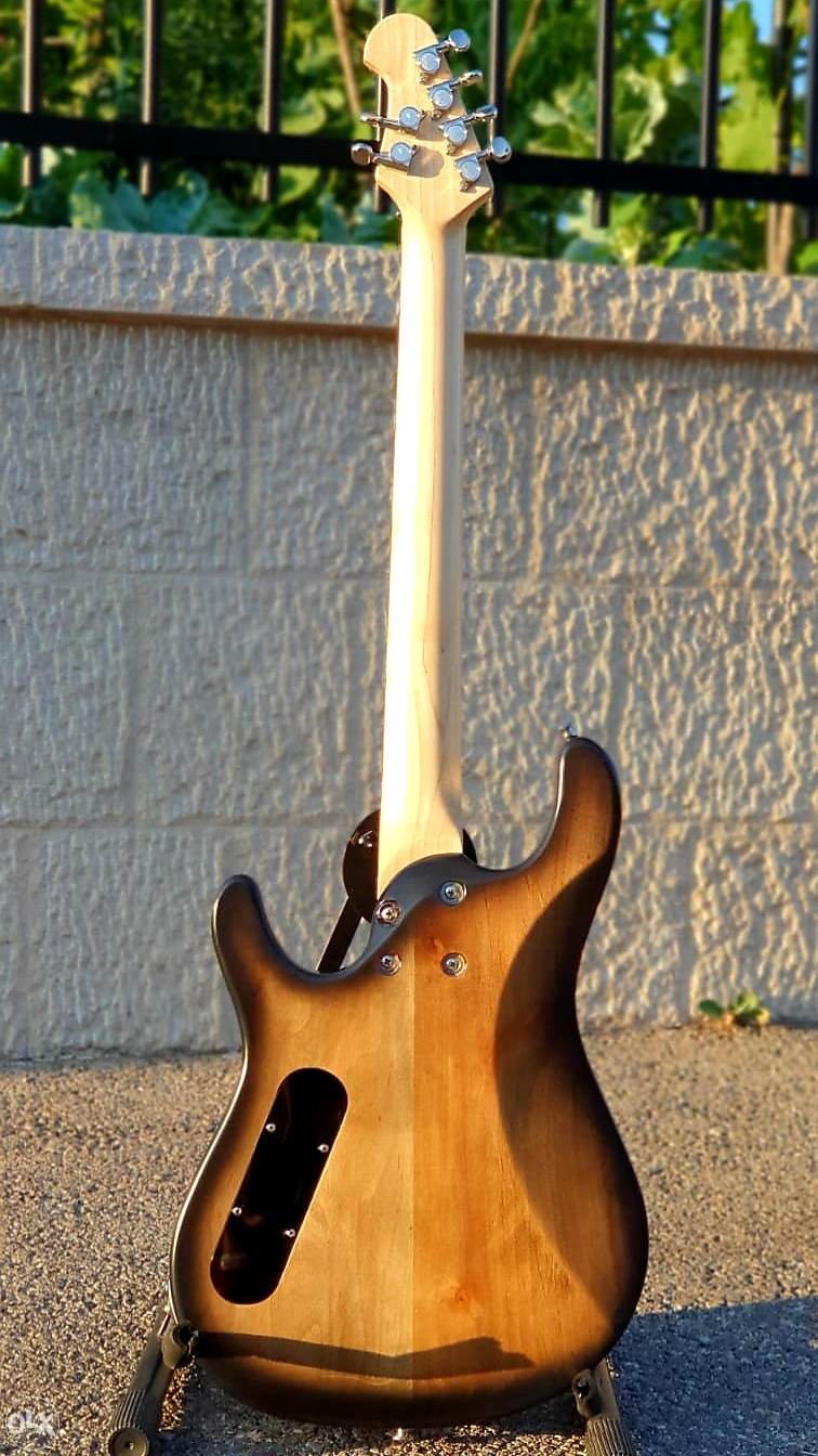 Zoran Simic ZS Custom Handmade Gitara