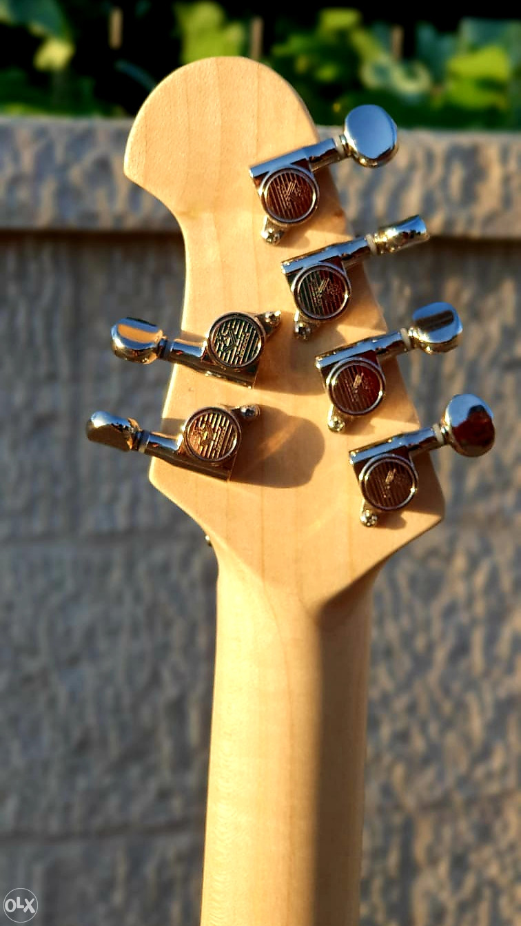 Zoran Simic ZS Custom Handmade Gitara