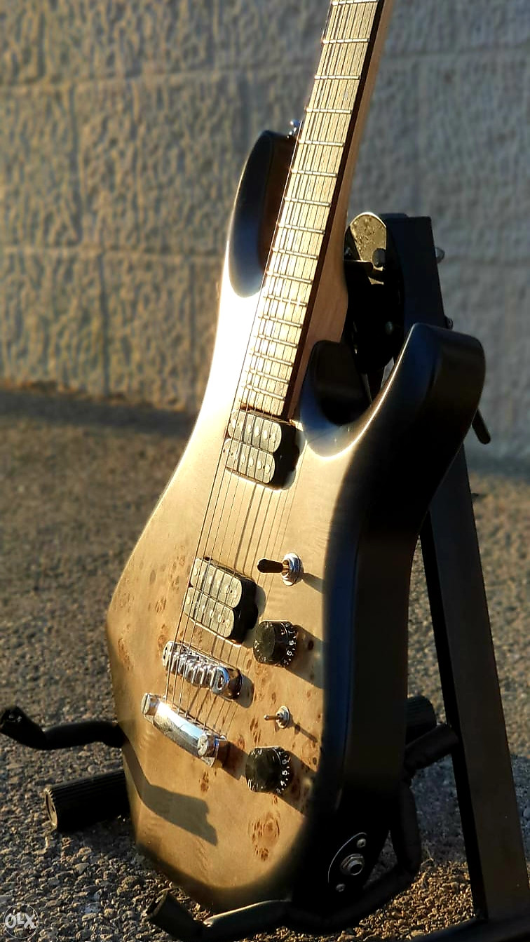 Zoran Simic ZS Custom Handmade Gitara