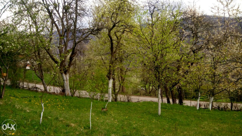 Zemljište kuća i prateći objekti 10