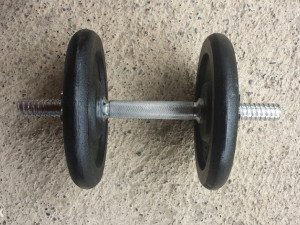 Bucica i 10kg tegova (2x5kg) - NOVO