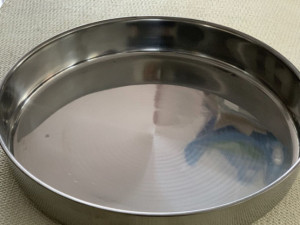 Tacna konobarska Inox / ugostiteljska | NOVO