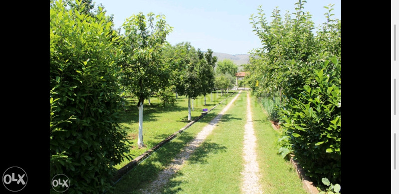 Kuća Mostar-Buna. 15