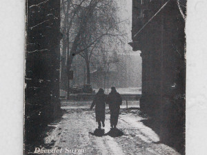 Sarajevska zima - Dževdet Sarač