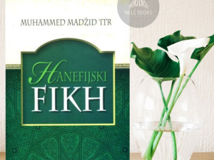 HANEFIJSKI FIKH