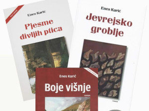 Enes Karic (romani)