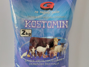 Kostomin GEBI