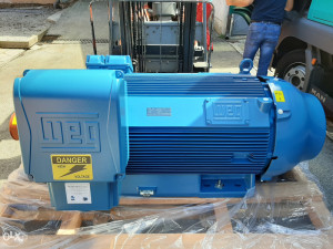 Trofazni elektromotor 55kW/2900 obrtaja