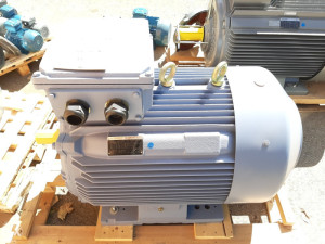 Trofazni elektromotor 132kW/2900 obrtaja