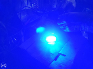 Led blinkeri plavi i crveni, 12v,24v,