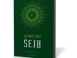 Ko može biti šejh