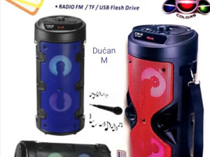 Karaoke zvucnik sa mikrofonom