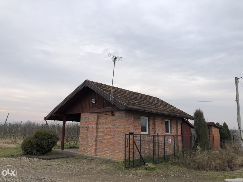 PRODAJEM ZEMLJU VOCNJAK GRADACAC 24 DULUMA 8